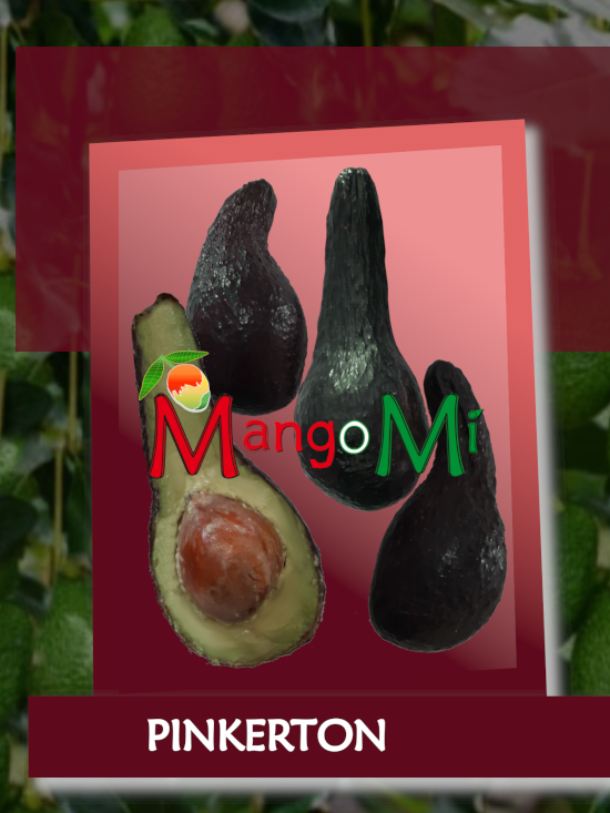 pinkerton

                        avocado mangomì